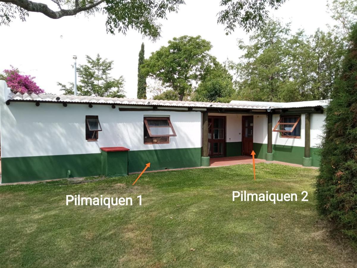 Riachuelo Pilmaiquenヴィラ エクステリア 写真