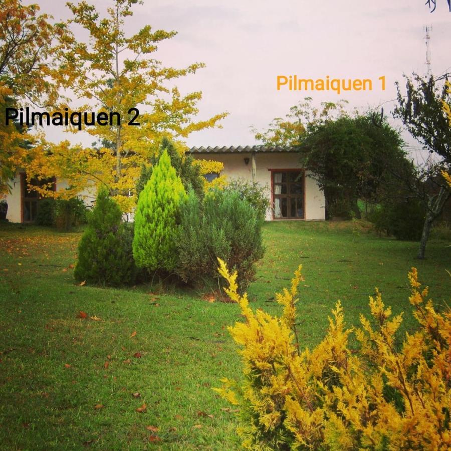 Riachuelo Pilmaiquenヴィラ エクステリア 写真