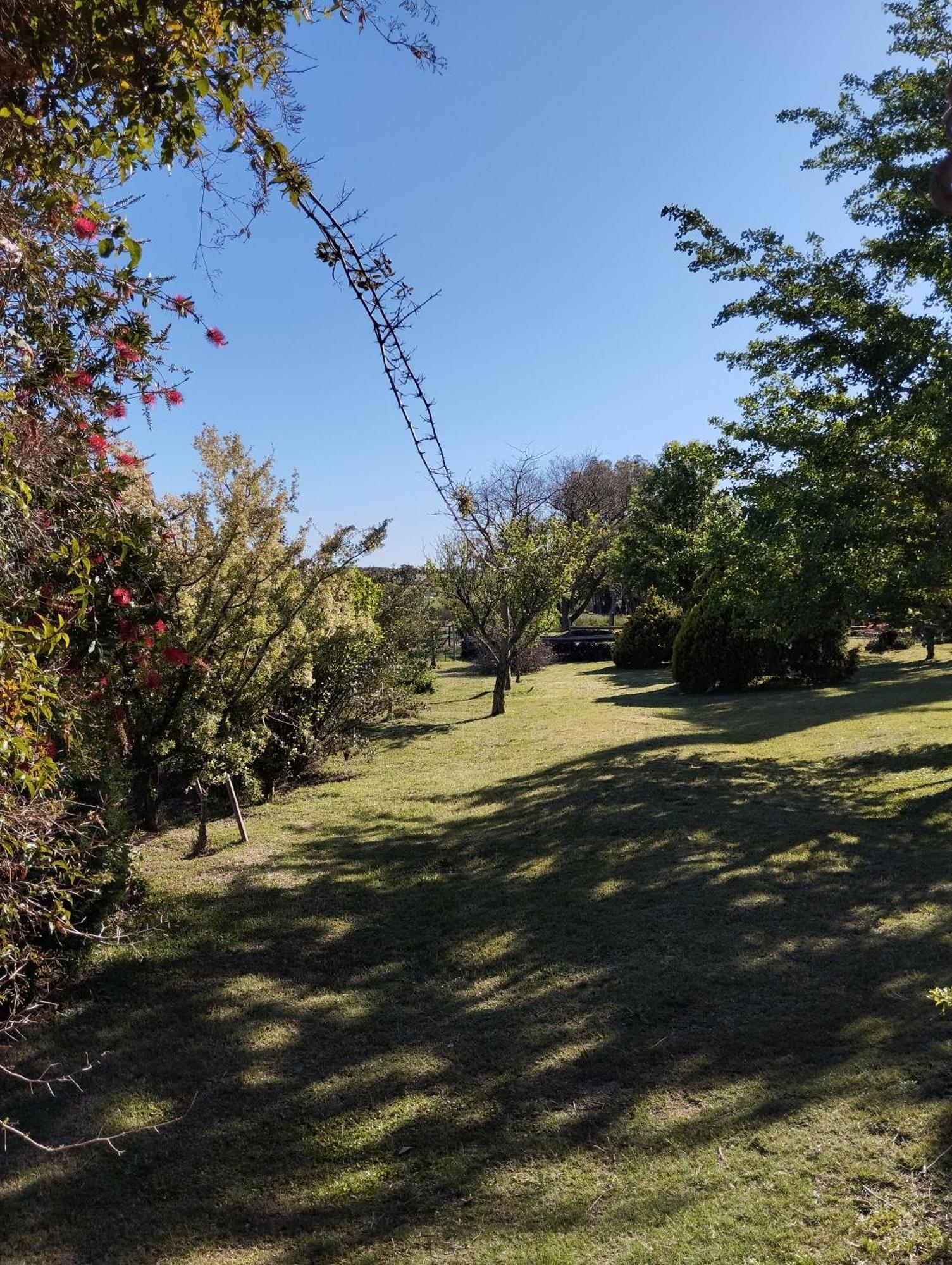 Riachuelo Pilmaiquenヴィラ エクステリア 写真